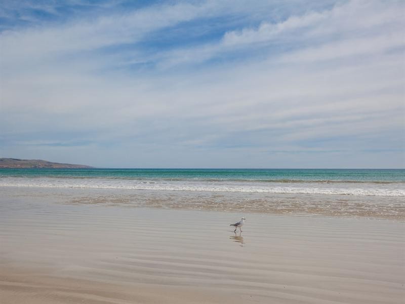 92 Emerald Boulevard, Aldinga Beach SA 5173