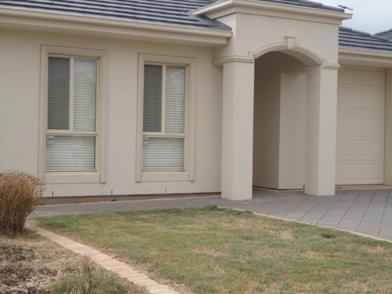 5 Oak Avenue, Clovelly Park SA 5042