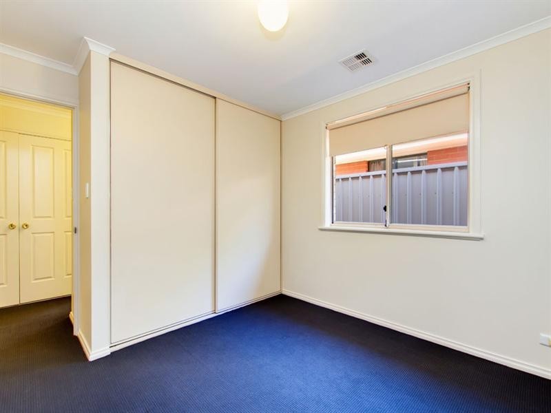 6 Orange Grove, Mitchell Park SA 5043