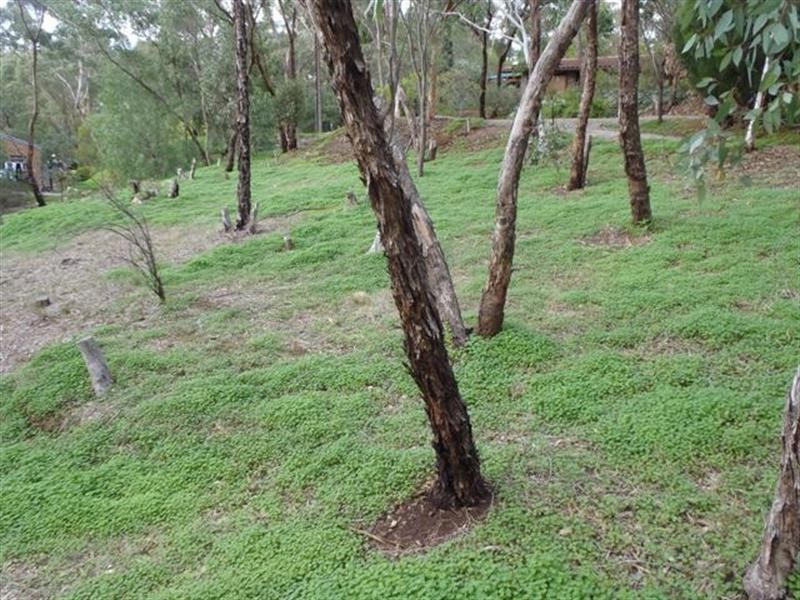 75 Hannaford Road, Blackwood SA 5051