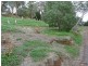 75 Hannaford Road, Blackwood SA 5051