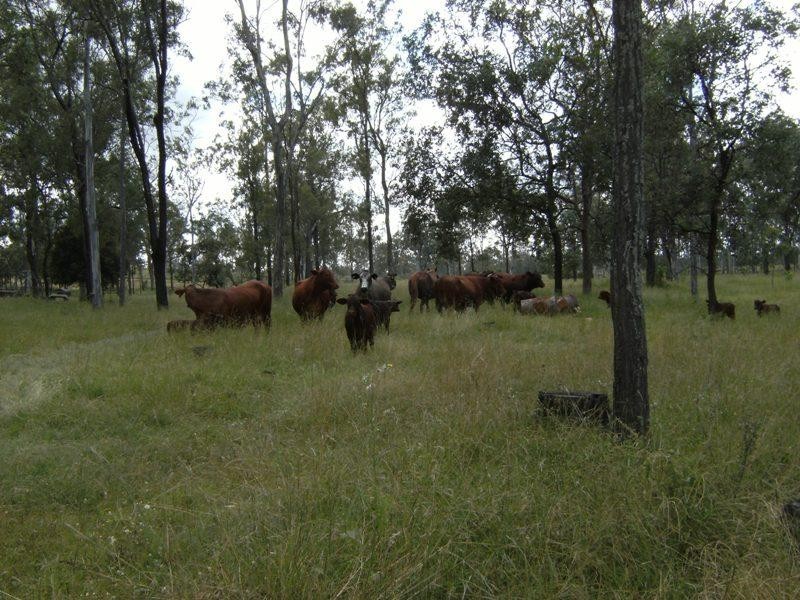 584 Rosewood-Laidley Road, Calvert QLD 4340