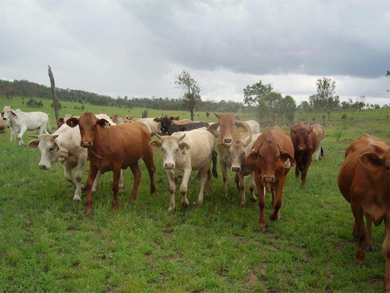 . off C Zahnows Road, Silverdale QLD 4307