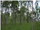 Lot 56 Greenhills Road Cannons Creek, Boonah QLD 4310