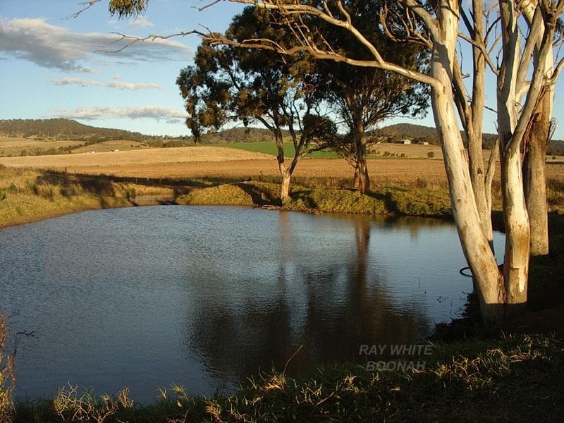 243 Barlows Gate Road, Killarney QLD 4373