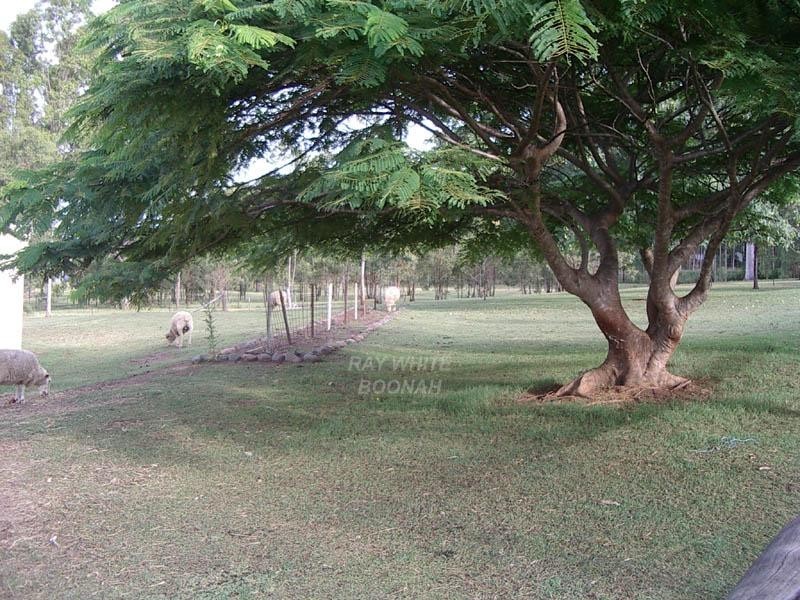 6 Evelyn Street, Aratula QLD 4309