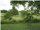 591 Hoya Road, Teviotville QLD 4309