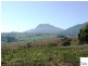 00 Burnett Creek Road, Maroon QLD 4310
