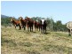 00 Burnett Creek Road, Maroon QLD 4310