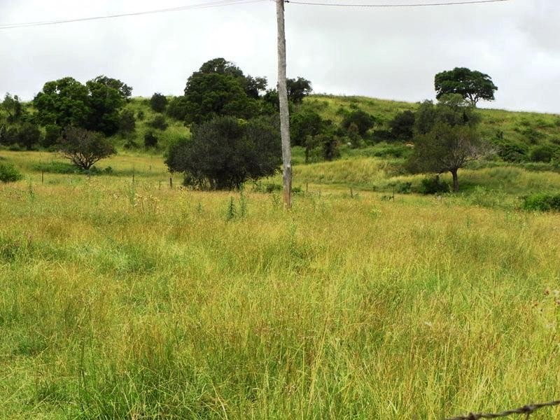 Lot 6 Boonah Fassifern Road Templin, Boonah QLD 4310