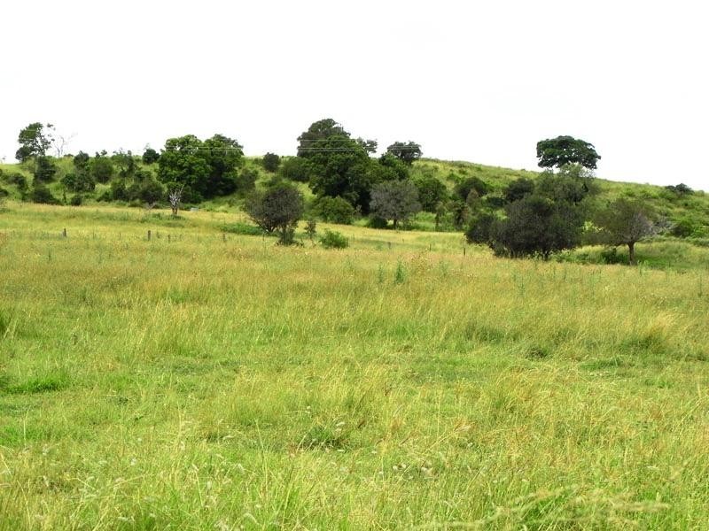 Lot 6 Boonah Fassifern Road Templin, Boonah QLD 4310