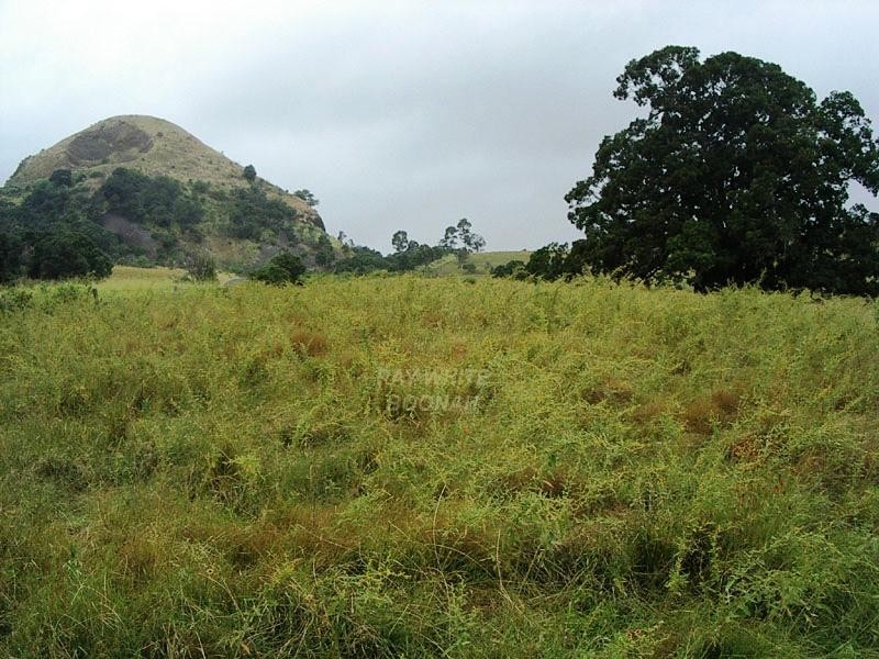 0 Cannon Creek Road, Boonah QLD 4310