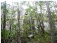 186 Head Road, Carneys Creek QLD 4310