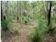 186 Head Road, Carneys Creek QLD 4310