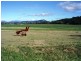 L31 Bunjurgen Road, Boonah QLD 4310