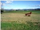 L31 Bunjurgen Road, Boonah QLD 4310