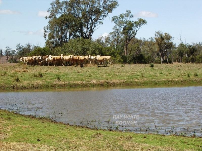 331 Old Rosevale Road, Warrill View QLD 4307