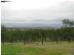 485 Roadvale-Harrisville Road, Anthony QLD 4310