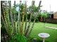 8 Mark Court, Raceview QLD 4305