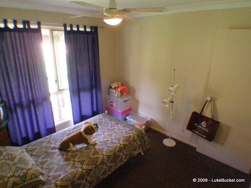 32 Leesmore Court, Deebing Heights QLD 4306