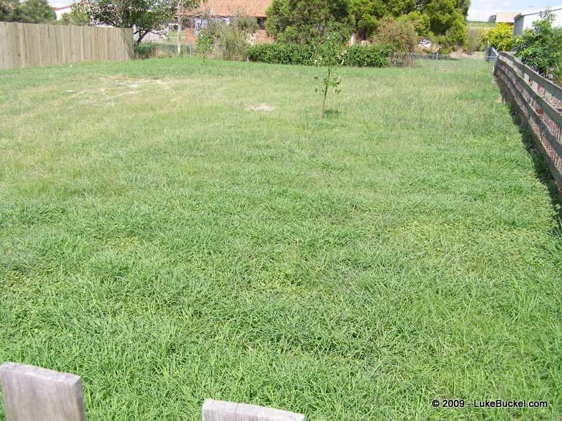 36 Tristania Street, Yamanto QLD 4305