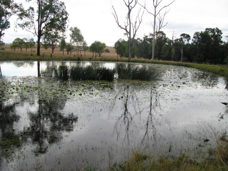 2292 Ipswich-Boonah Road, Peak Crossing QLD 4306