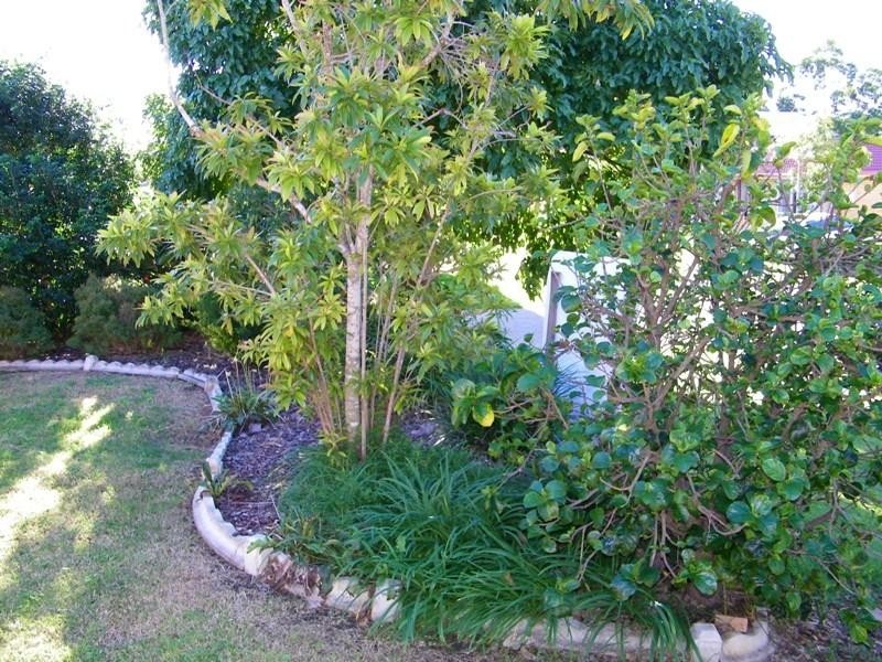 19 Elmhurst Crescent, Flinders View QLD 4305