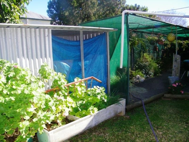 37 McGregor Street, Harrisville QLD 4307