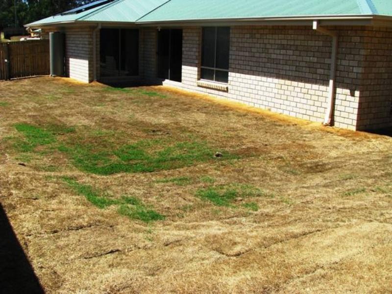 87 High Street, Blackstone QLD 4304