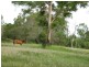 195 Schultzs Road, Ironbark QLD 4306