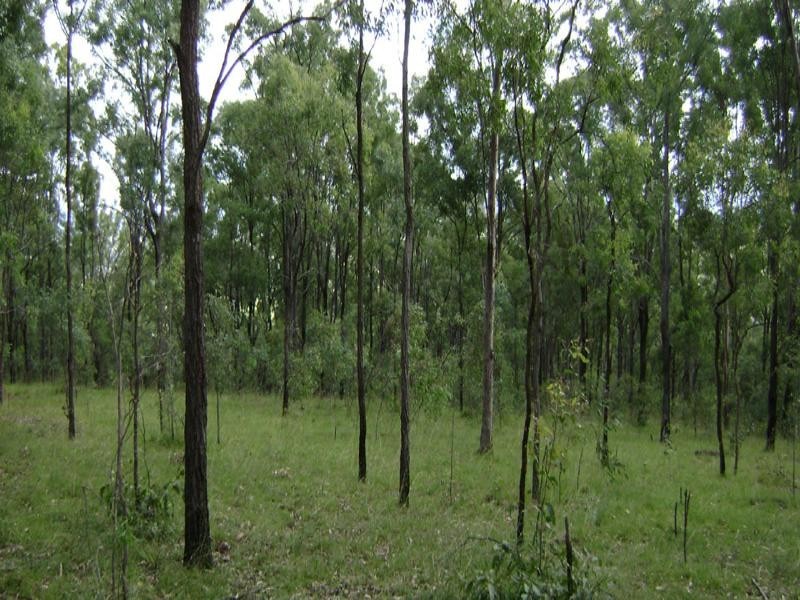 Lot 56 off Green Hills Road, Cannon Creek QLD 4310