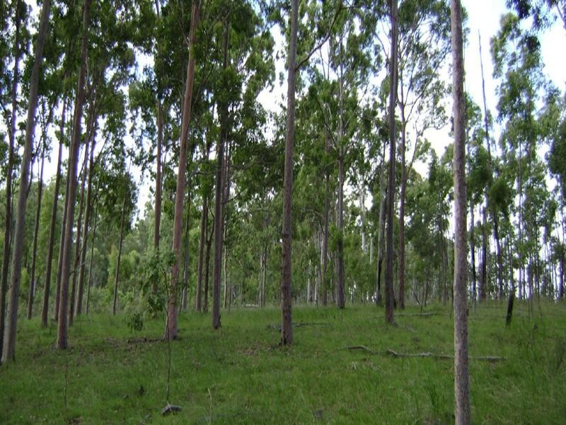 Lot 56 off Green Hills Road, Cannon Creek QLD 4310