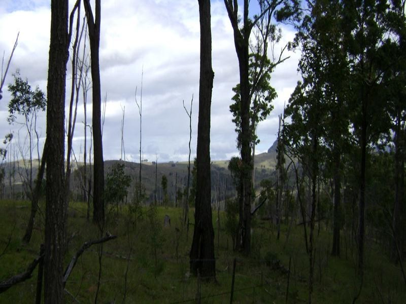 Lot 56 off Green Hills Road, Cannon Creek QLD 4310