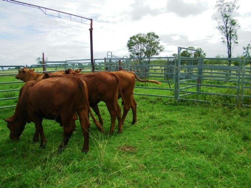 56 Mutdapilly Dip Road, Willowbank QLD 4306