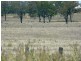 1507 Middle Road, Peak Crossing QLD 4306