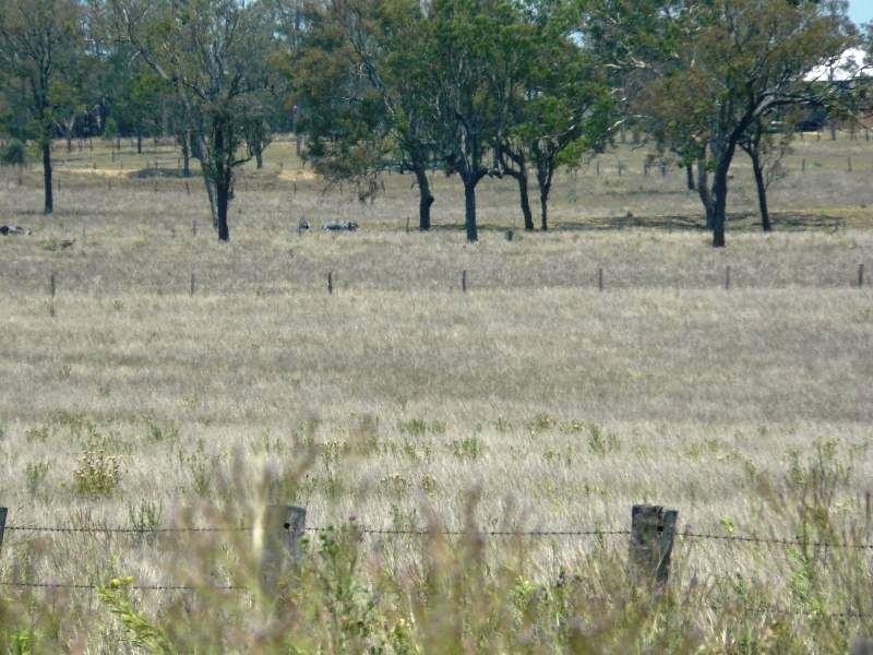 1507 Middle Road, Peak Crossing QLD 4306