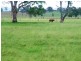 1073 Ipswich-Boonah Road, Peak Crossing QLD 4306