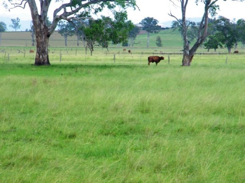 1073 Ipswich-Boonah Road, Peak Crossing QLD 4306
