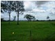 1073 Ipswich-Boonah Road, Peak Crossing QLD 4306