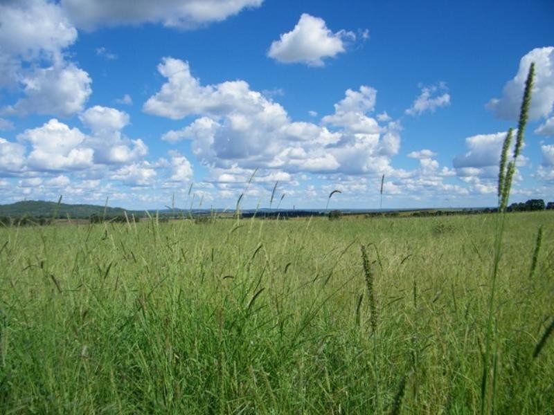 Karingal Millmerran-Inglewood Road, Millmerran QLD 4357