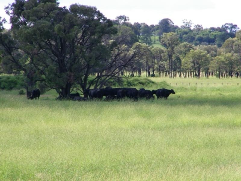 Karingal Millmerran-Inglewood Road, Millmerran QLD 4357