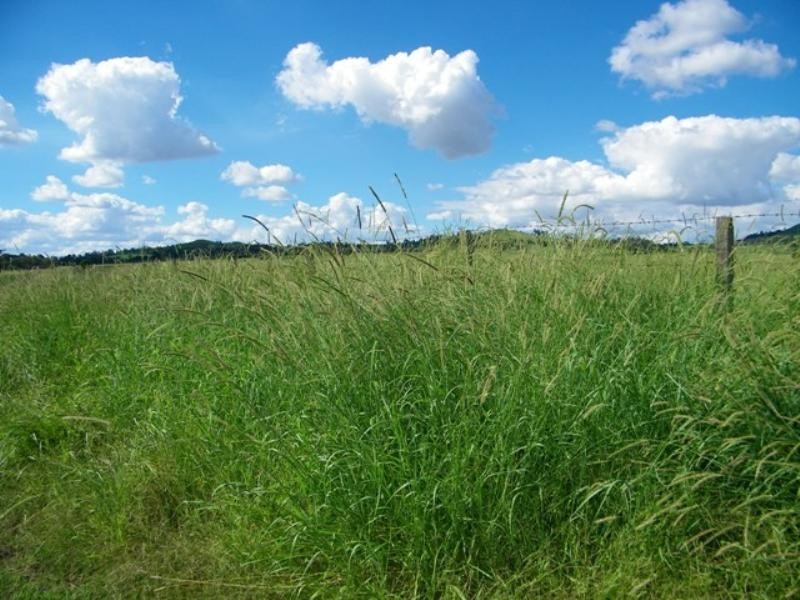 Karingal Millmerran-Inglewood Road, Millmerran QLD 4357