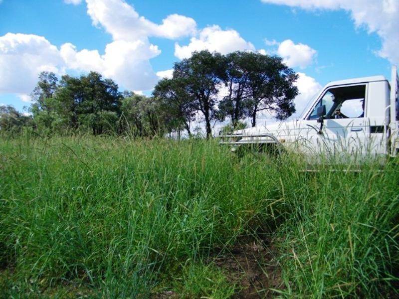 Karingal Millmerran-Inglewood Road, Millmerran QLD 4357