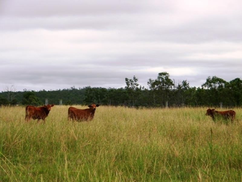 422 Sugarloaf Road, Mount Forbes QLD 4340