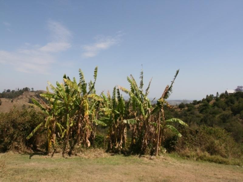 746 Woolooman Road, Milbong QLD 4310