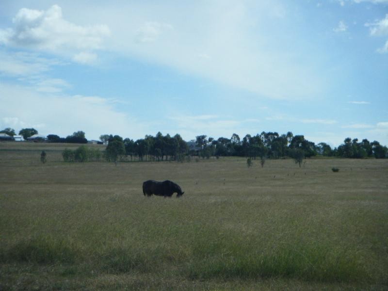 60 Faulkners Road, Peak Crossing QLD 4306