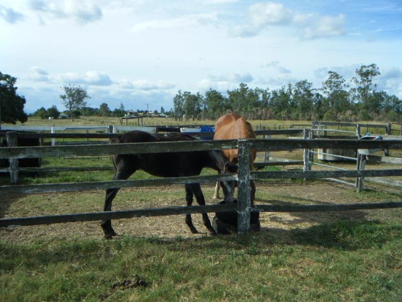 60 Faulkners Road, Peak Crossing QLD 4306