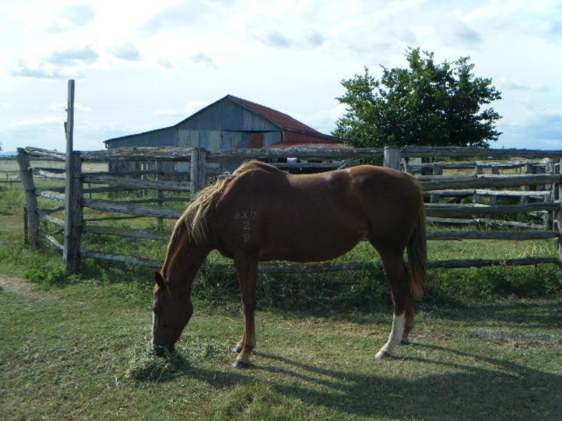 60 Faulkners Road, Peak Crossing QLD 4306