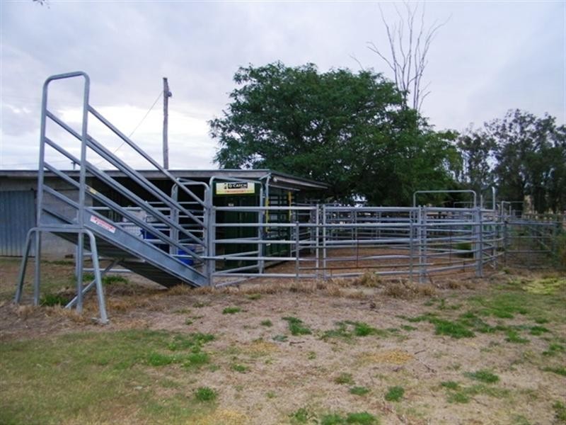 332 Coleyville Road, Coleyville QLD 4307