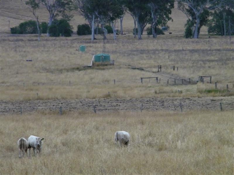 332 Coleyville Road, Coleyville QLD 4307